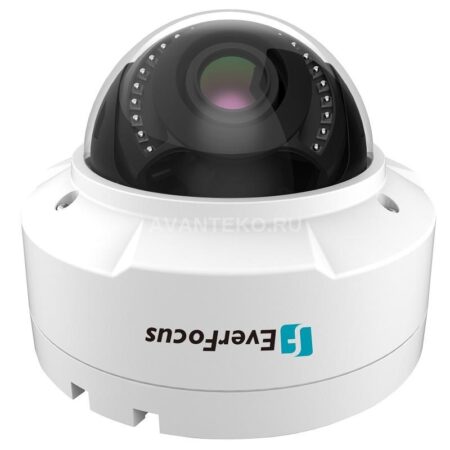 Купольная ip-камера EverFocus EHN-1250